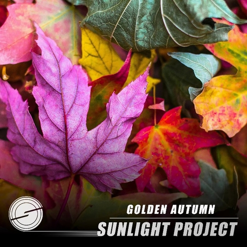 Sunlight Project - Golden Autumn [10298569]